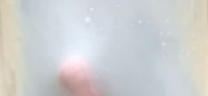 グルテン膜の画像